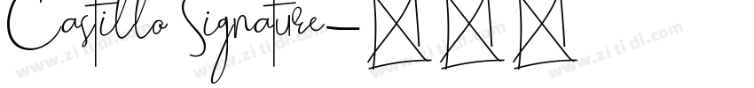 Castillo Signature字体转换